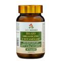 Żelazo organiczne z witaminami 80kaps.jpg