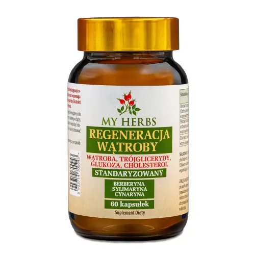 REGENERACJA WĄTROBY CHOLESTEROL, SYLIMARYNA, OSTROPEST, BERBERYNA