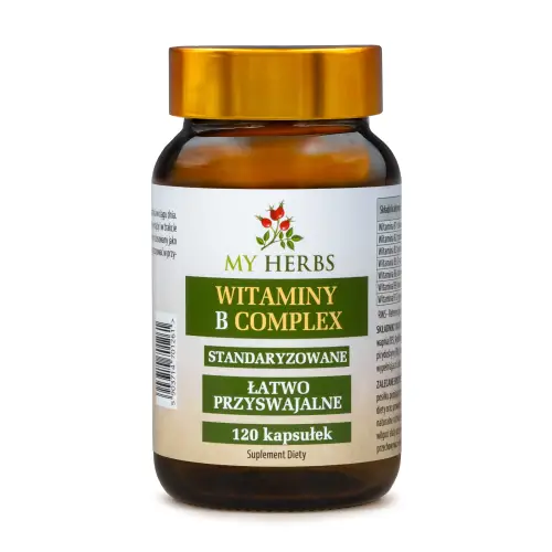 WITAMINY B COMPLEX 120 KAPS. B1 B2 B3 B5 B6 B9 B12