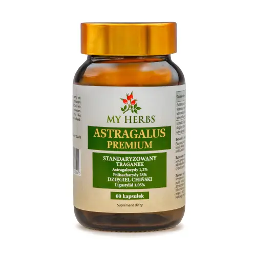 ASTRAGALUS - TRAGANEK, DZIĘGIEL CHIŃSKI, POLISACHARYDY, LIGUSTYLID 60 KAPS.