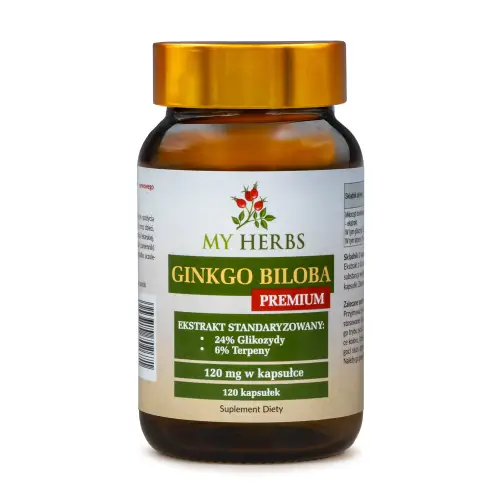 GINKGO BILOBA PREMIUM 120 KAPSUŁEK