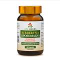 Berberyna Liposomalna -60kaps.jpg