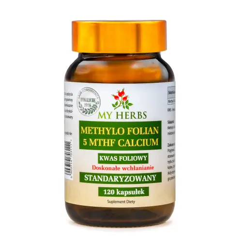 METHYLO FOLIAN 5 MTH CALCIUM KWAS FOLIOWY STANDARYZOWANY 120 KAPS