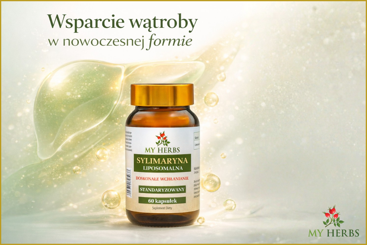 Liposomalna sylimaryna – czym jest, jak działa i kiedy warto ją stosować