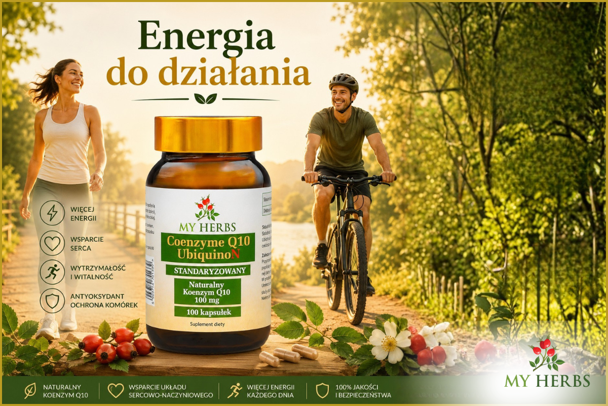 Energia do działania każdego dnia – jak koenzym Q10 wspiera aktywny styl życia?