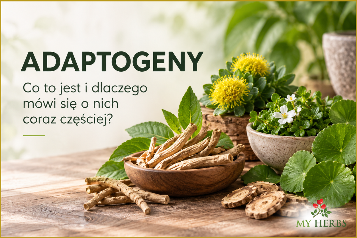Adaptogeny – co to jest i dlaczego mówi się o nich coraz częściej?