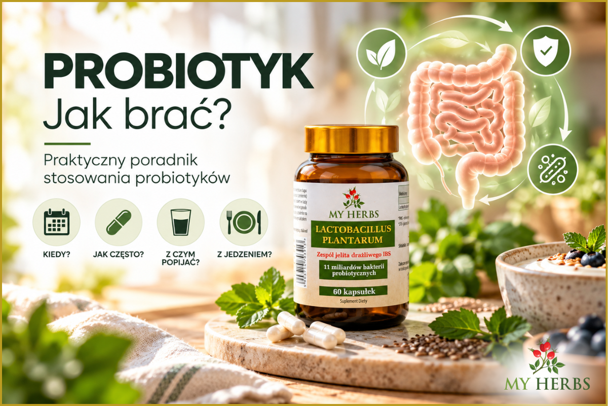 Probiotyk – jak brać? Praktyczny poradnik stosowania probiotyków